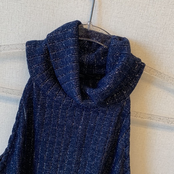 Zara Sweaters - Zara Sleeveless Turtleneck • Sz L